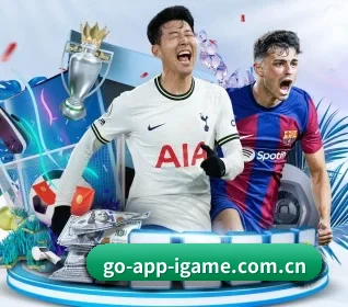 爱游戏官网入口 APP